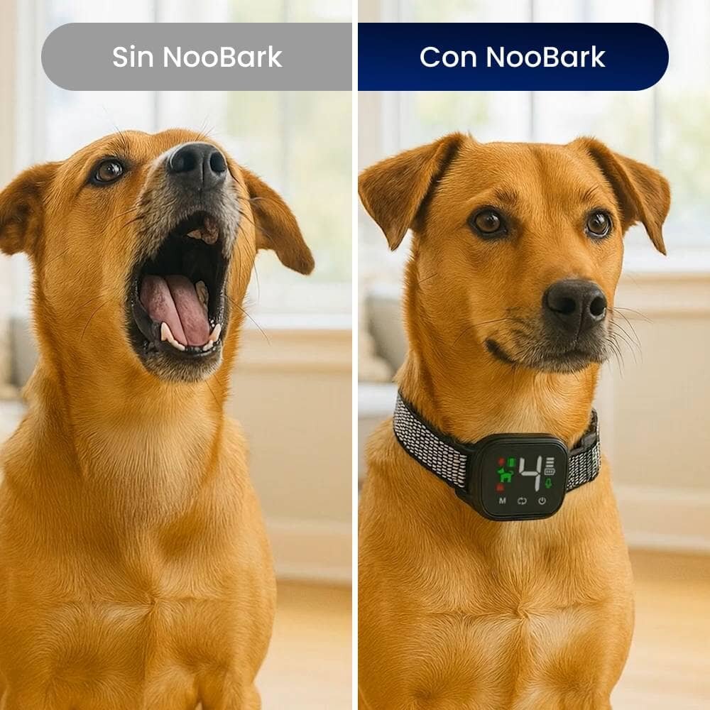 NooBark image