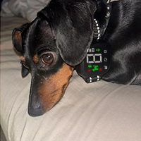 Array image